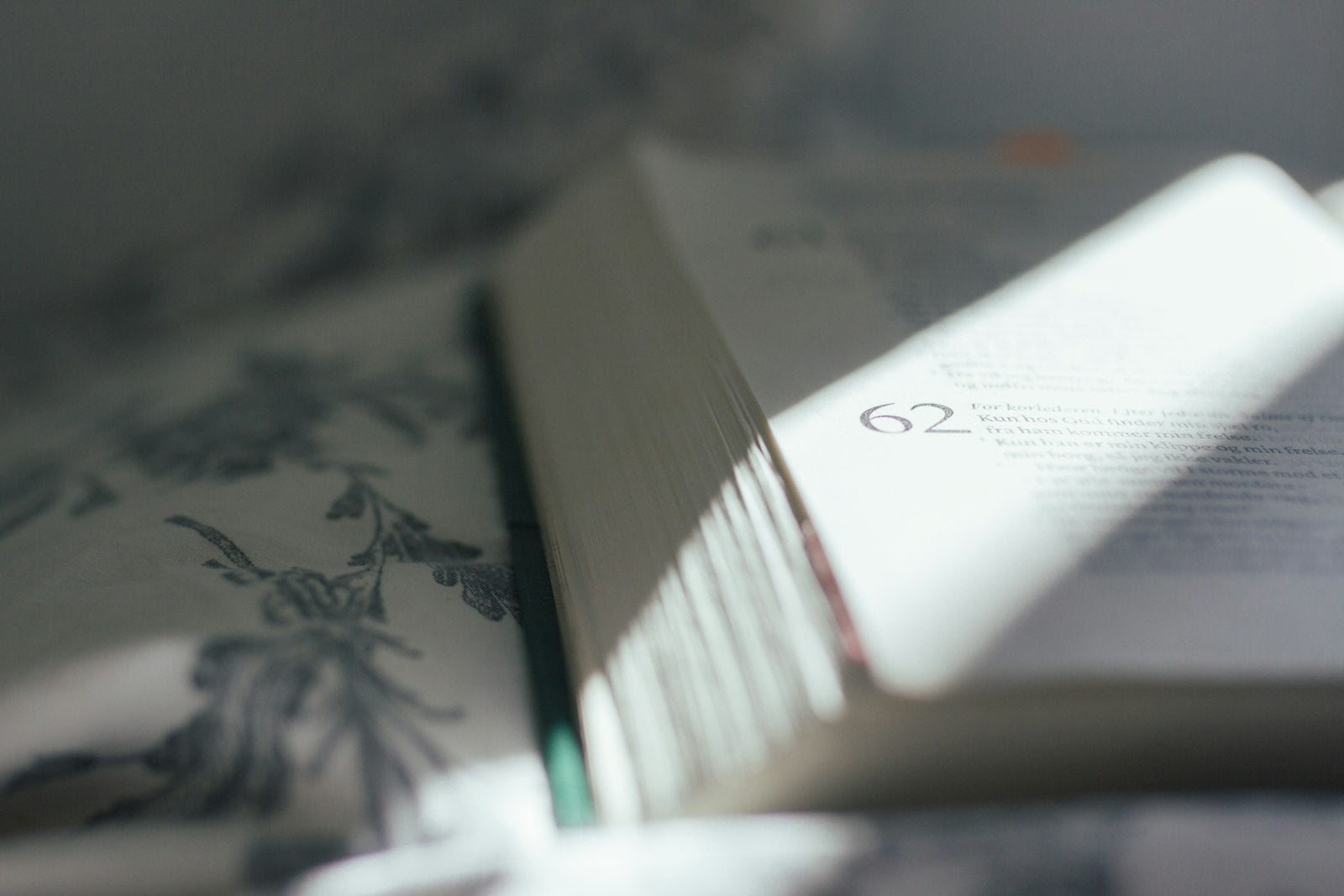 Opengeslagen boek in warm ochtendlicht, symbool voor een dagelijks moment van bijbellezen